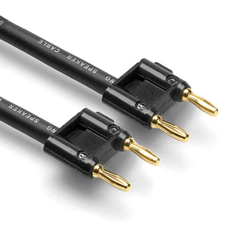 Hosa Technology Dual Banana Male to Dual Banana Male Speaker Cable (100')