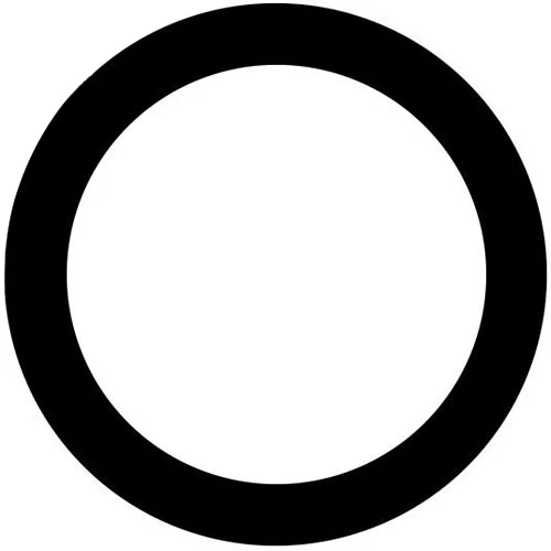 Ikelite Anti-Reflection Ring for Nikon NIKKOR Z 14-30mm f/4 S Lens in Underwater Dome Port - Image 14