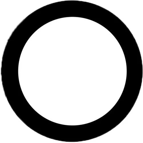 Ikelite Anti-Reflection Ring for Nikon NIKKOR Z 14-30mm f/4 S Lens in Underwater Dome Port - Image 15