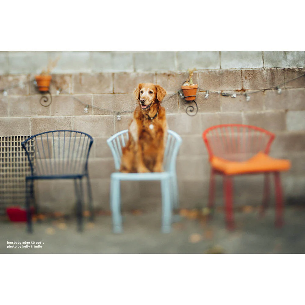 Lensbaby Edge 50 Optic - Image 11