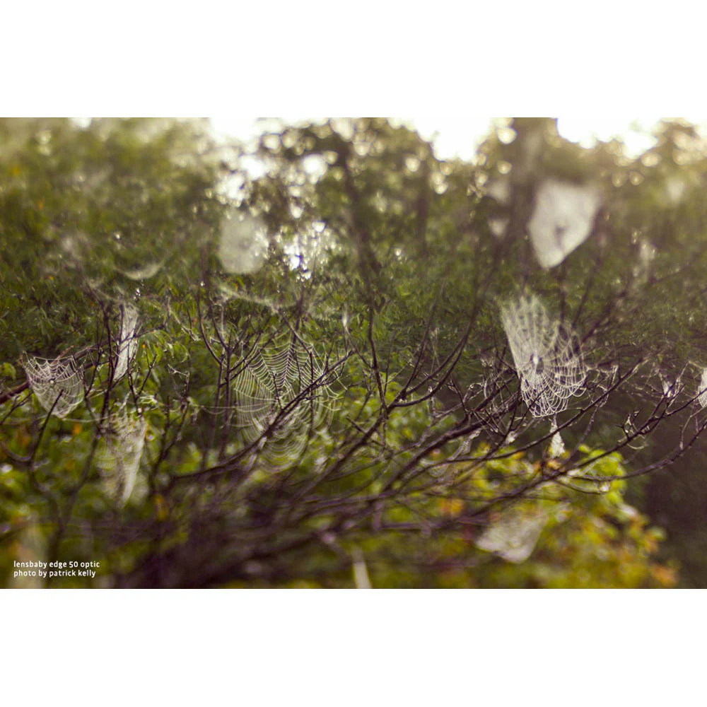 Lensbaby Edge 50 Optic - Image 4