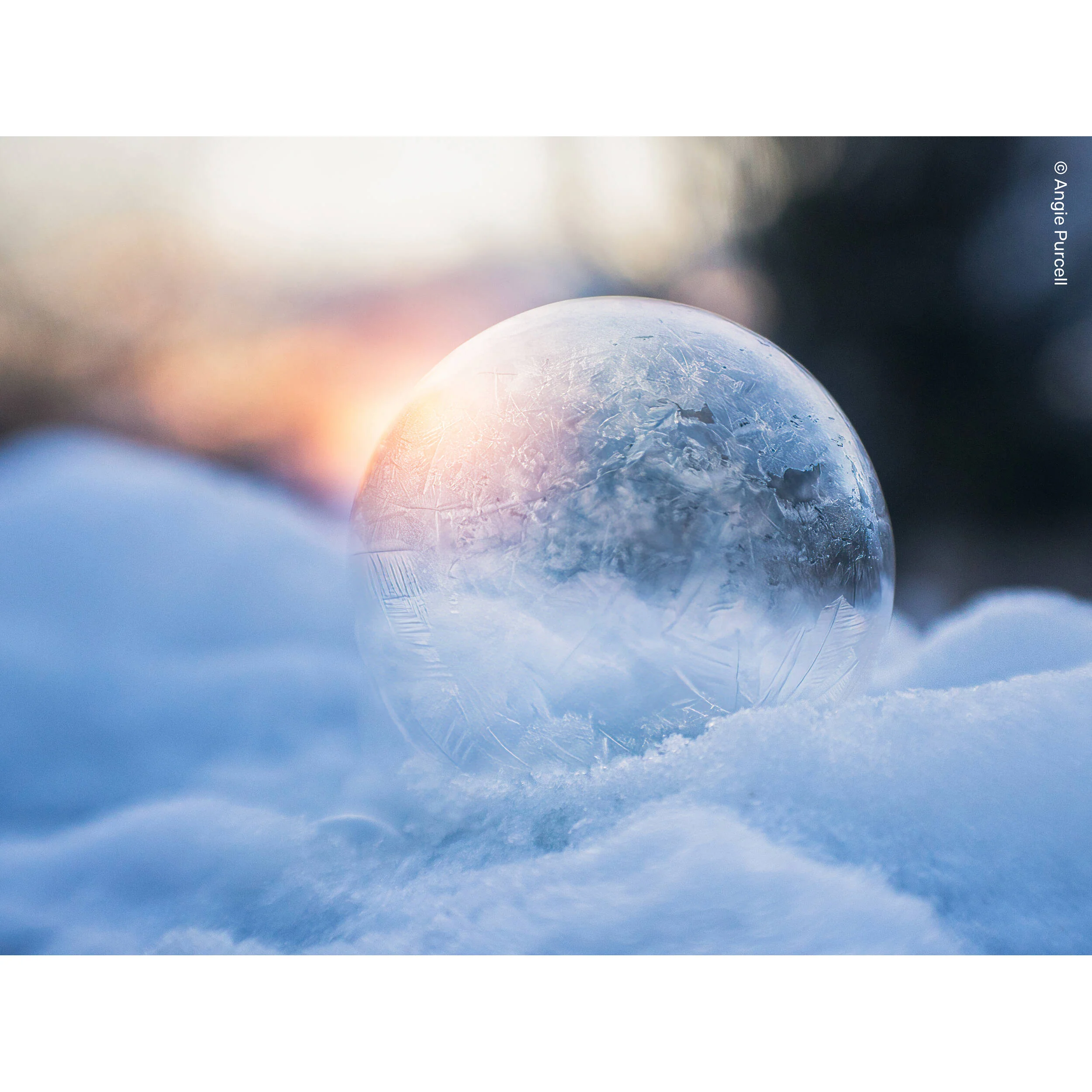 Lensbaby Sweet 22 Optic (Canon RF) - Image 4