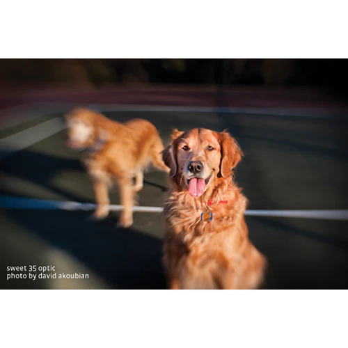 Lensbaby Sweet 35 Optic - Image 5