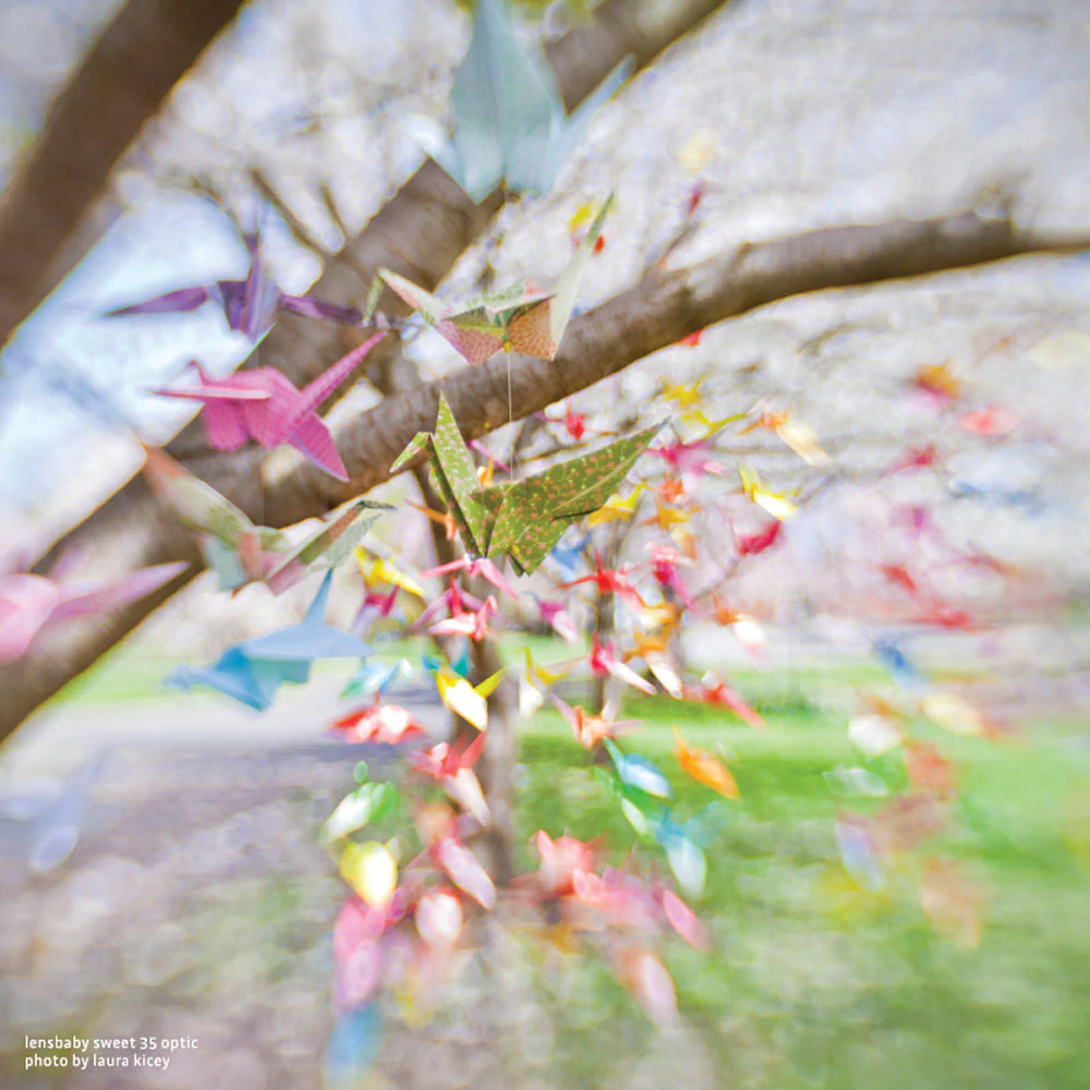 Lensbaby Sweet 35 Optic - Image 8