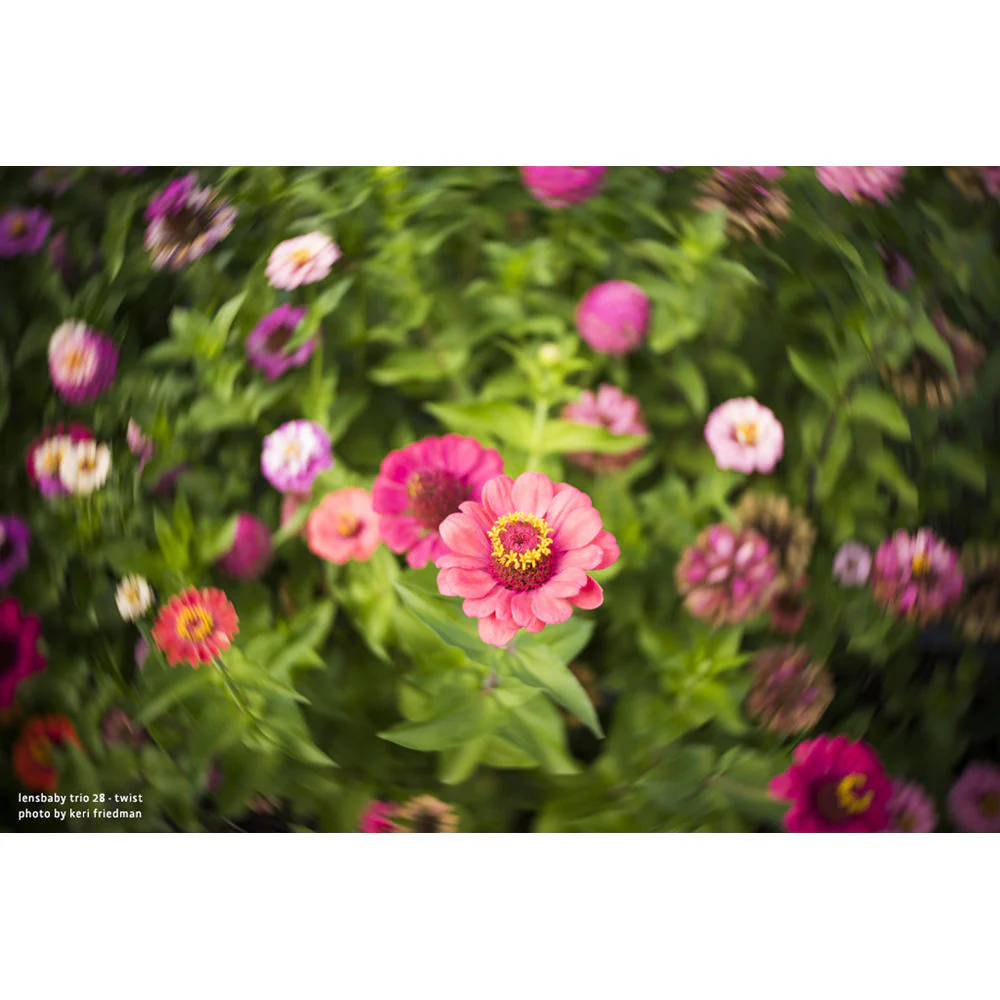 Lensbaby Trio 28mm f/3.5 Lens for Fujifilm X - Image 13