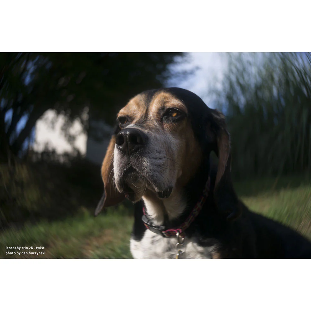 Lensbaby Trio 28mm f/3.5 Lens for Sony E - Image 14