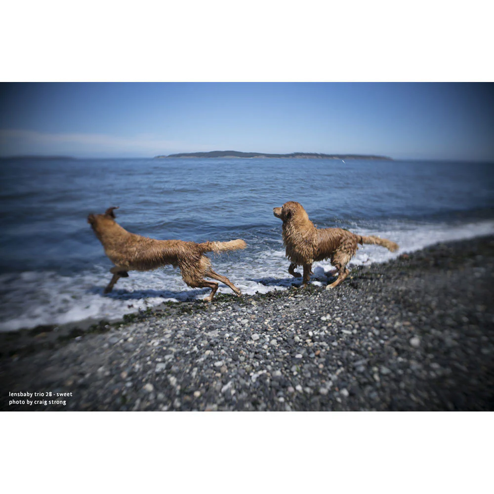 Lensbaby Trio 28mm f/3.5 Lens for Sony E - Image 9