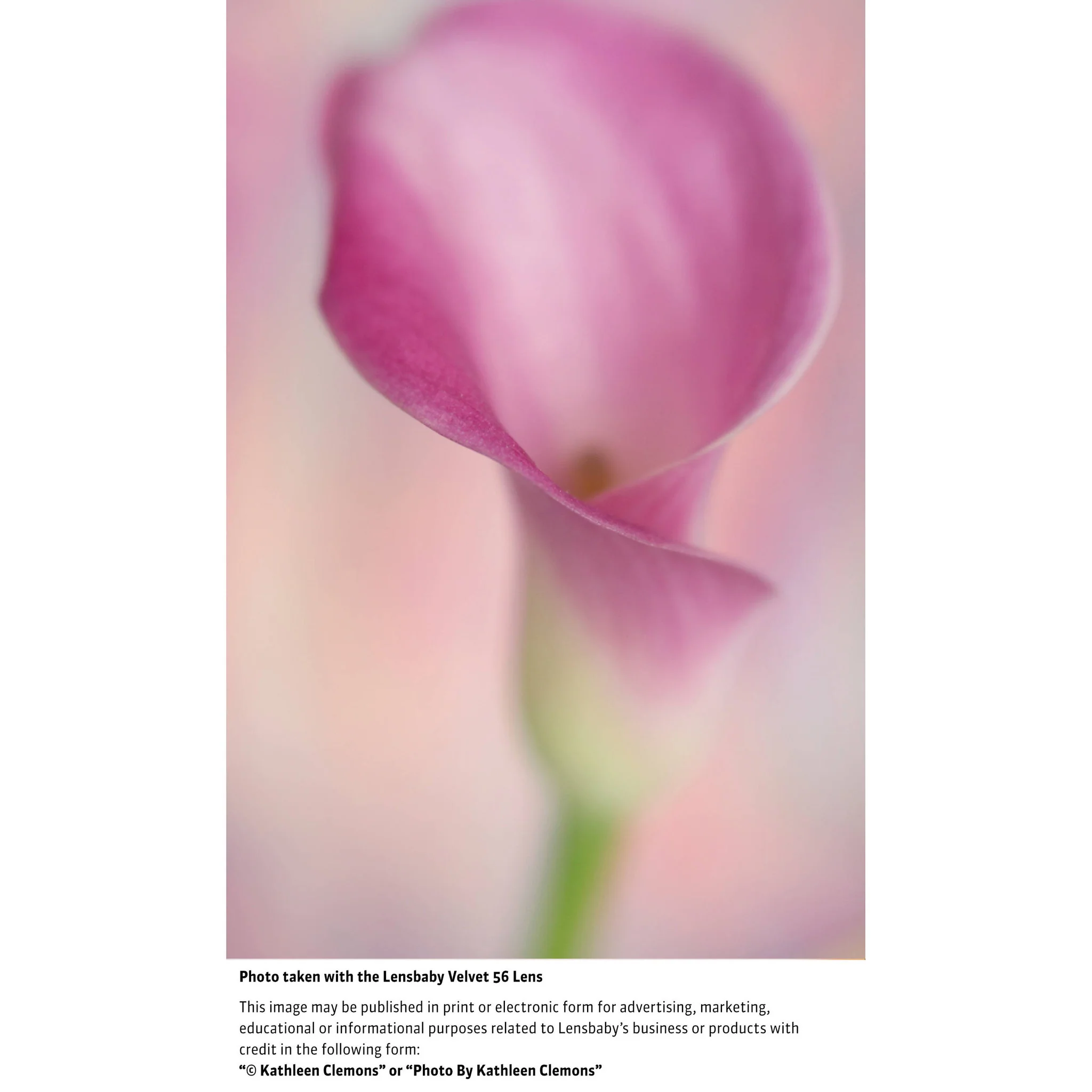 Lensbaby Velvet 56mm f/1.6 Lens for Fujifilm X - Image 10