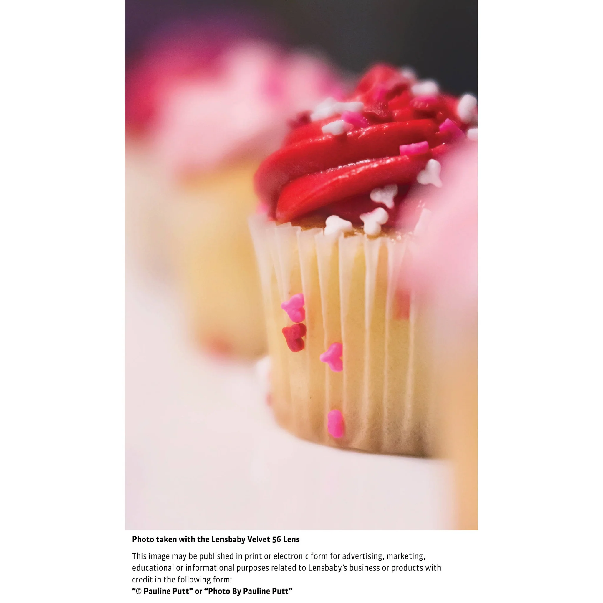 Lensbaby Velvet 56mm f/1.6 Lens for Fujifilm X - Image 11
