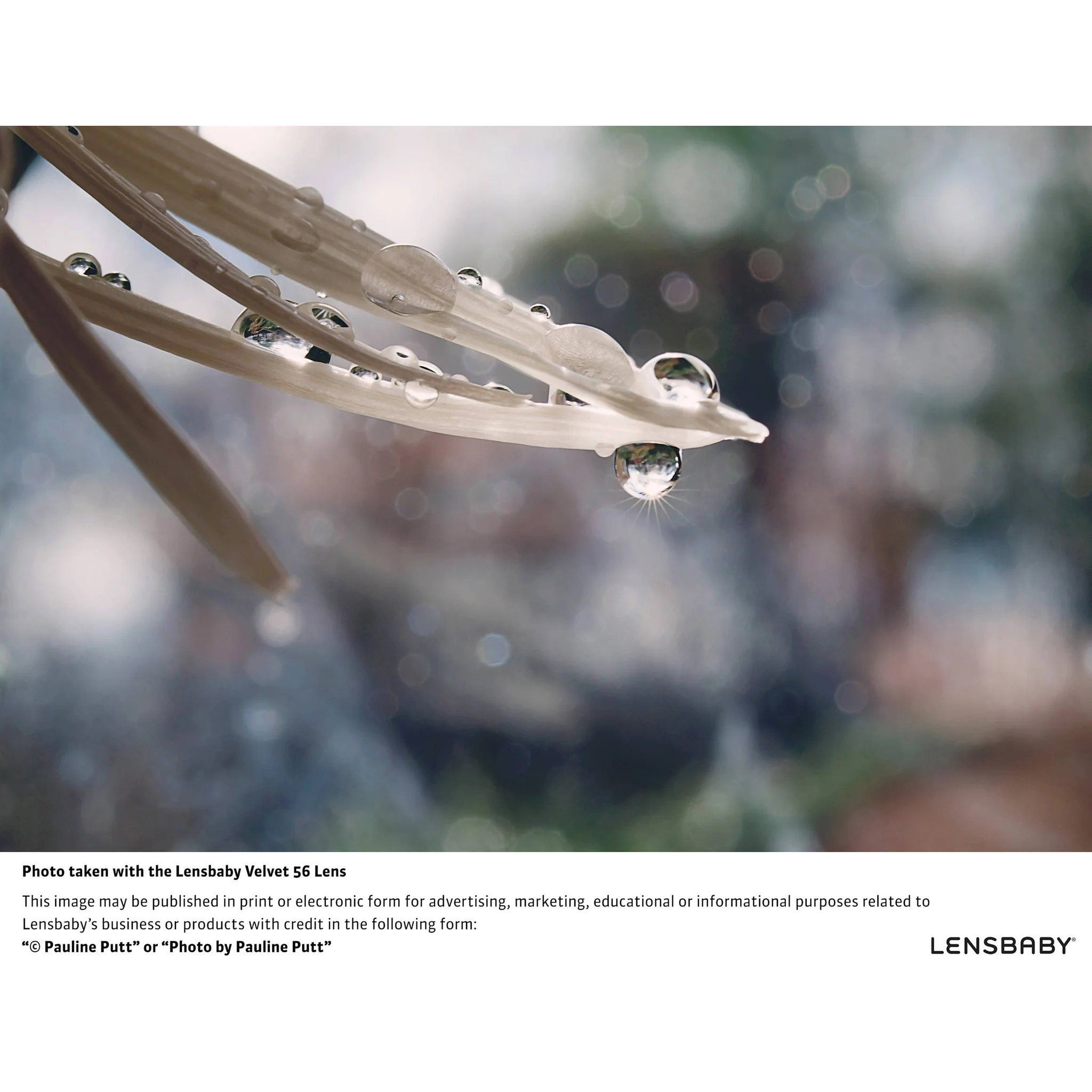 Lensbaby Velvet 56mm f/1.6 Lens for Fujifilm X - Image 4