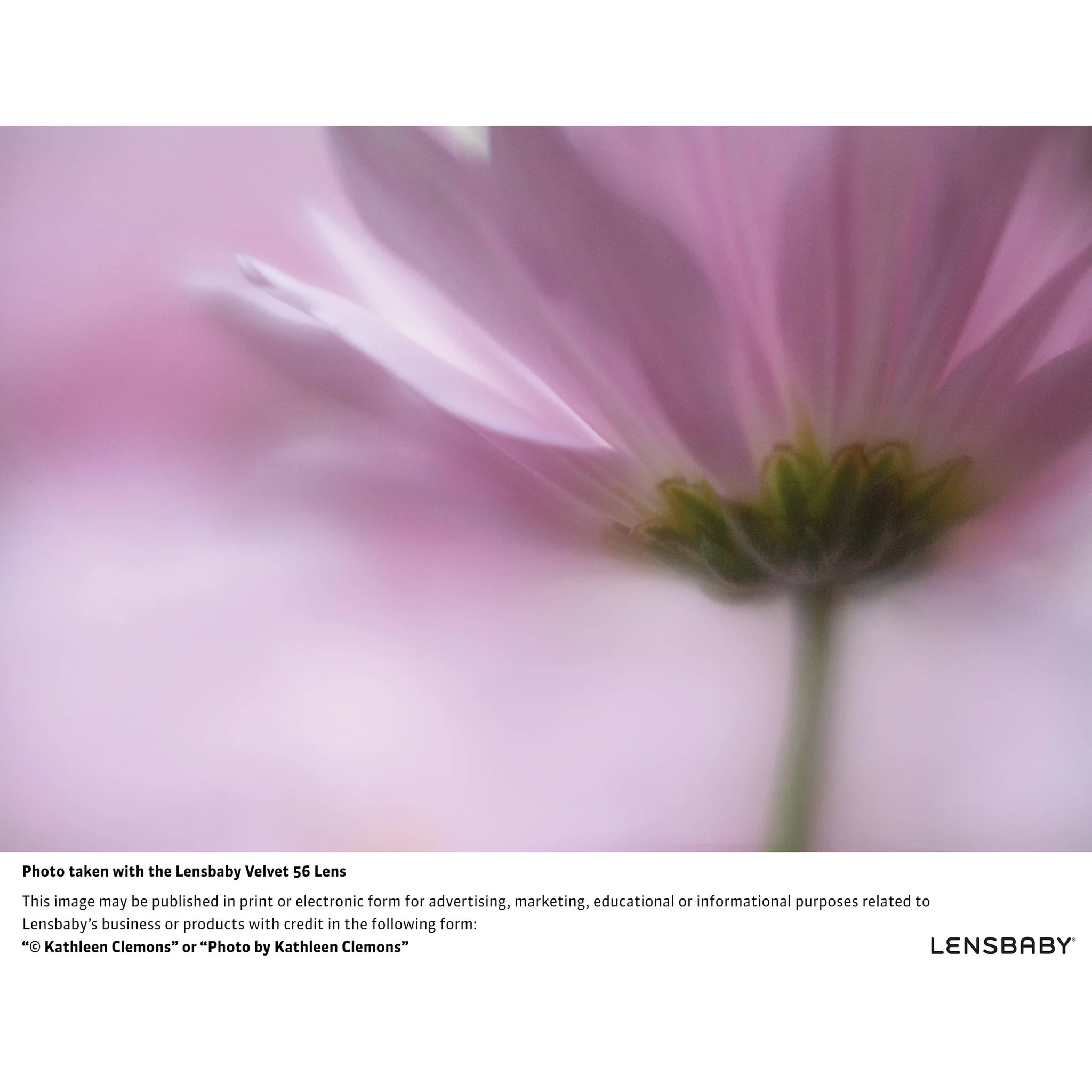 Lensbaby Velvet 56mm f/1.6 Lens for Fujifilm X - Image 6