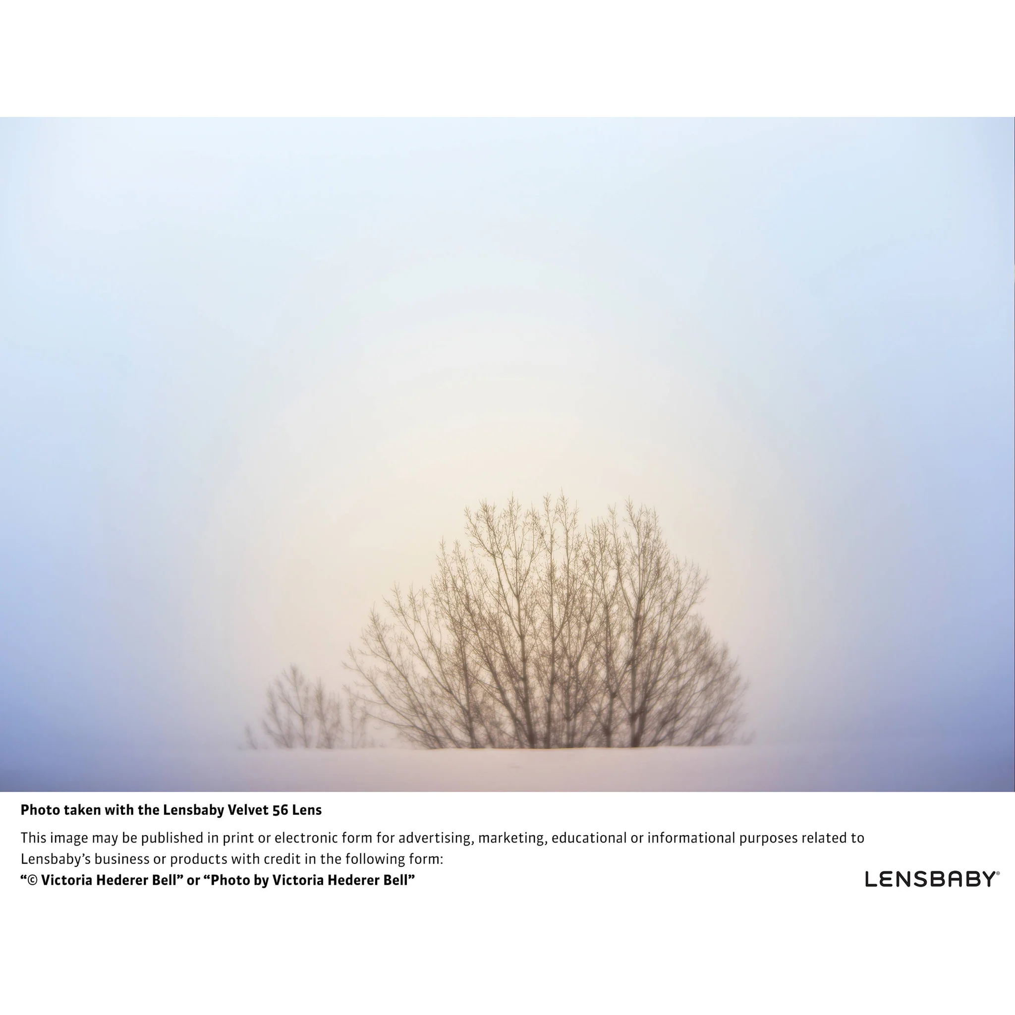 Lensbaby Velvet 56mm f/1.6 Lens for Fujifilm X - Image 8