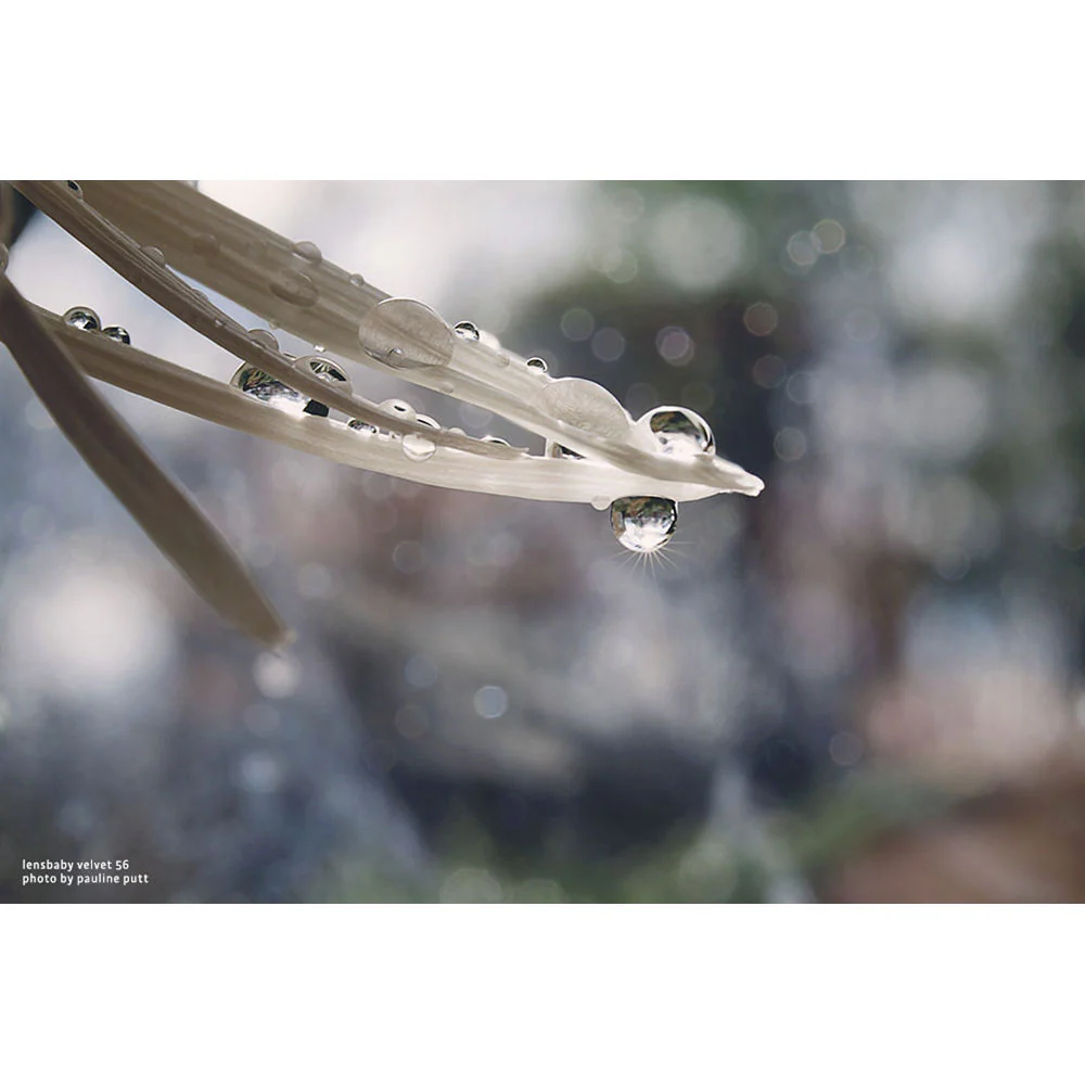 Lensbaby Velvet 56mm f/1.6 Lens for Nikon Z - Image 7