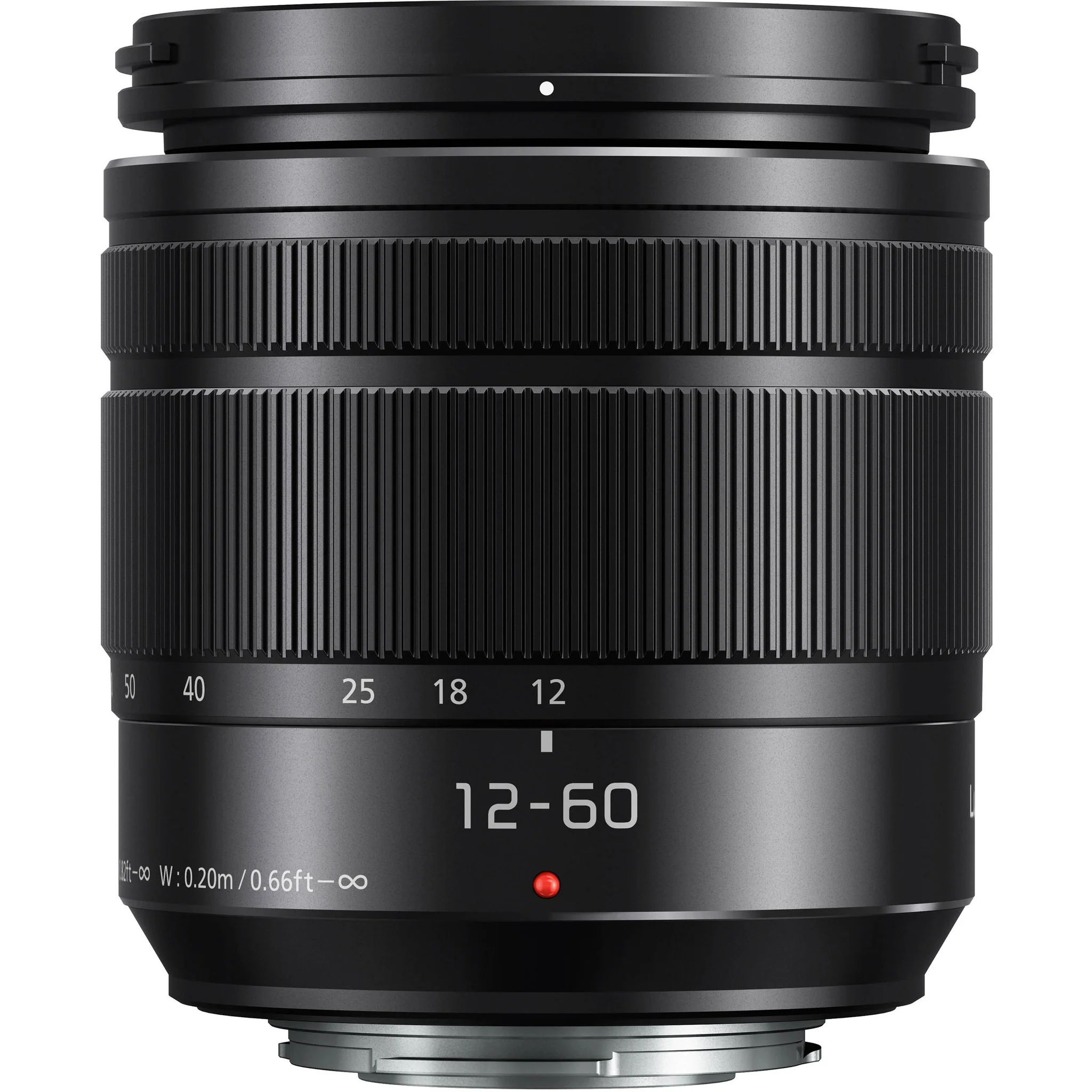 Panasonic Lumix G Vario 12-60mm f/3.5-5.6 ASPH. POWER O.I.S. Lens - Image 12