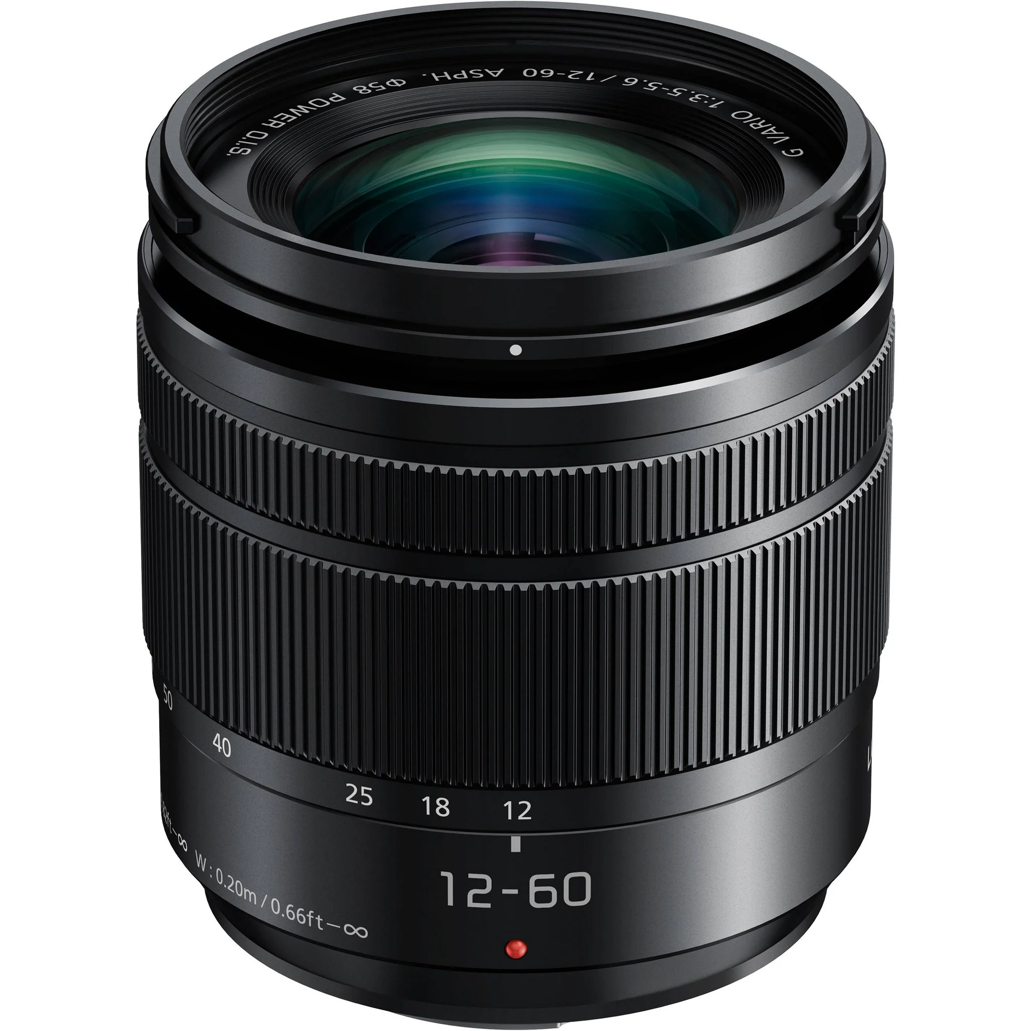 Panasonic Lumix G Vario 12-60mm f/3.5-5.6 ASPH. POWER O.I.S. Lens - Image 19