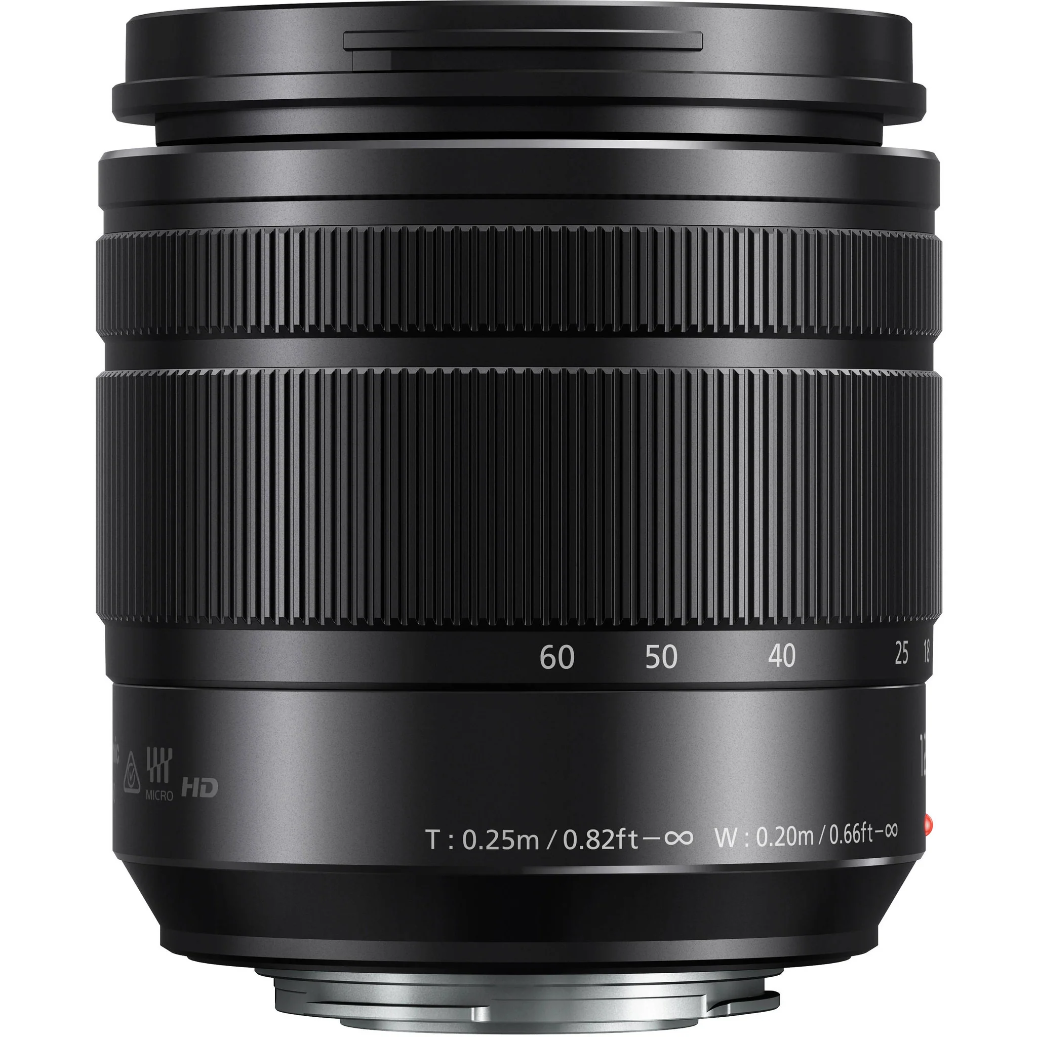 Panasonic Lumix G Vario 12-60mm f/3.5-5.6 ASPH. POWER O.I.S. Lens - Image 20