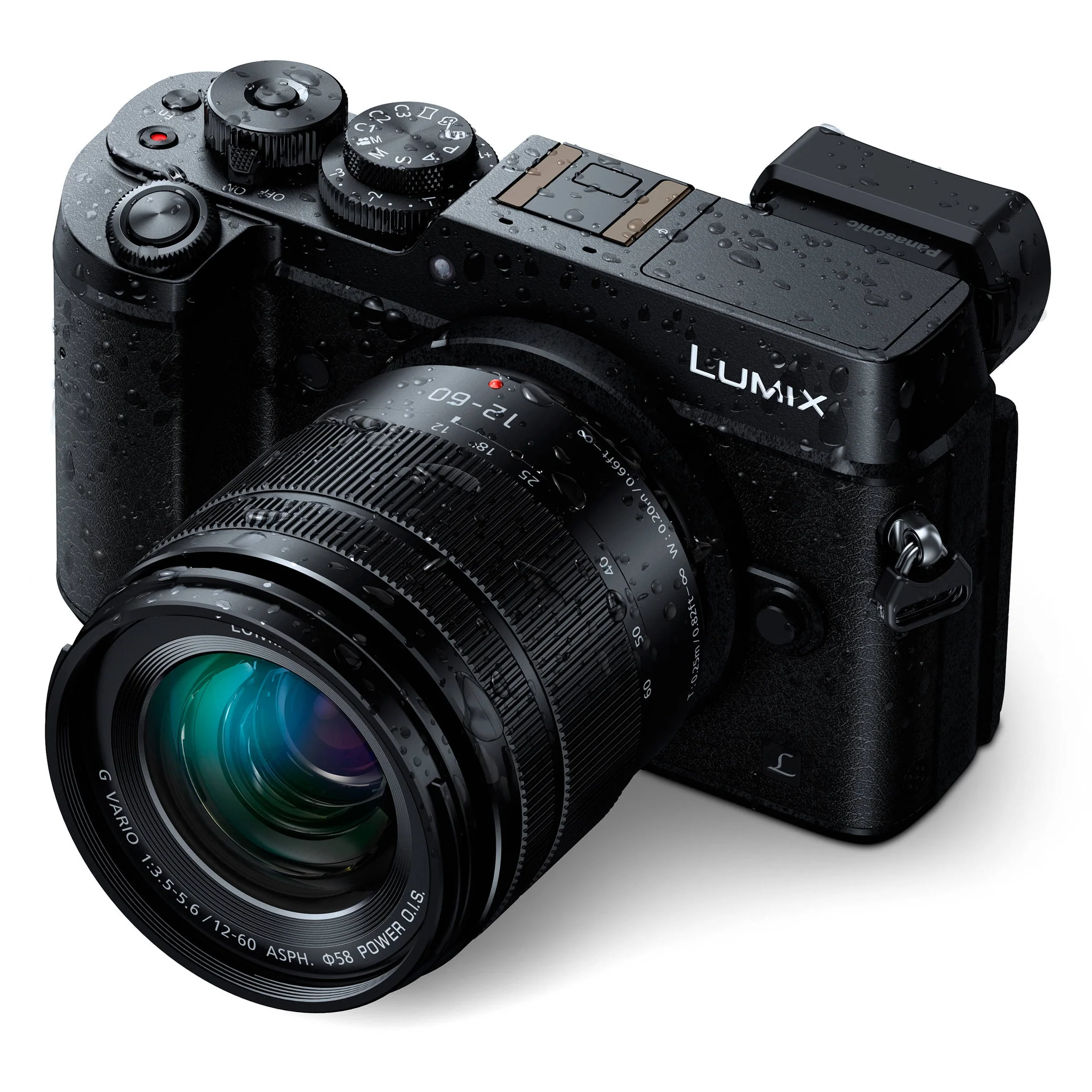 Panasonic Lumix G Vario 12-60mm f/3.5-5.6 ASPH. POWER O.I.S. Lens - Image 25