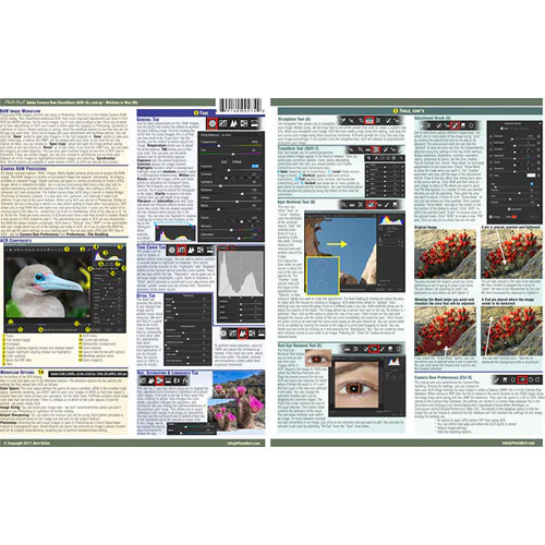 PhotoBert Cheat Sheet for Adobe Camera Raw v9+ - Image 3