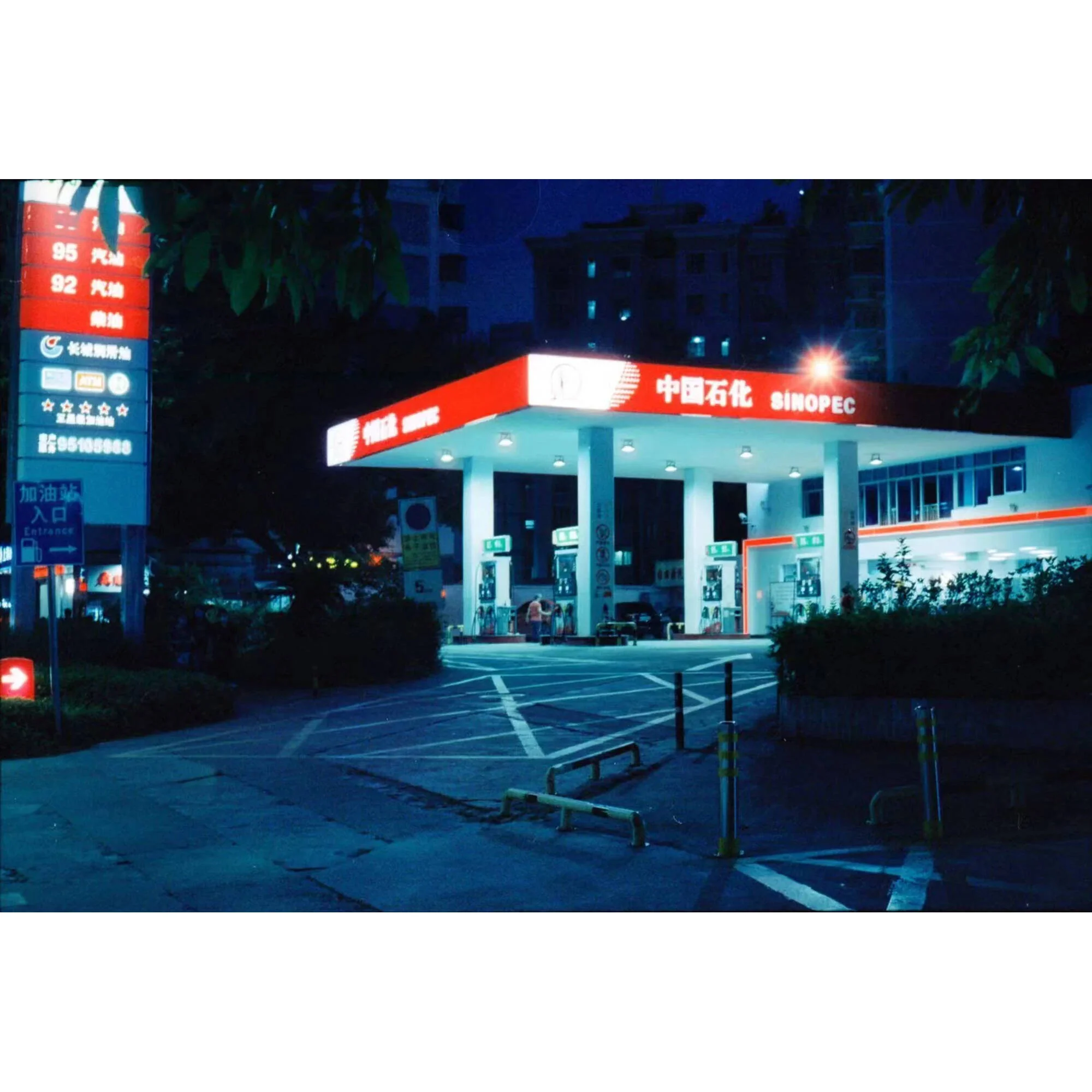 Reflx Lab 800 Tungsten-Balenced Color Negative Film (35mm Roll Film, 36 Exposures) - Image 5