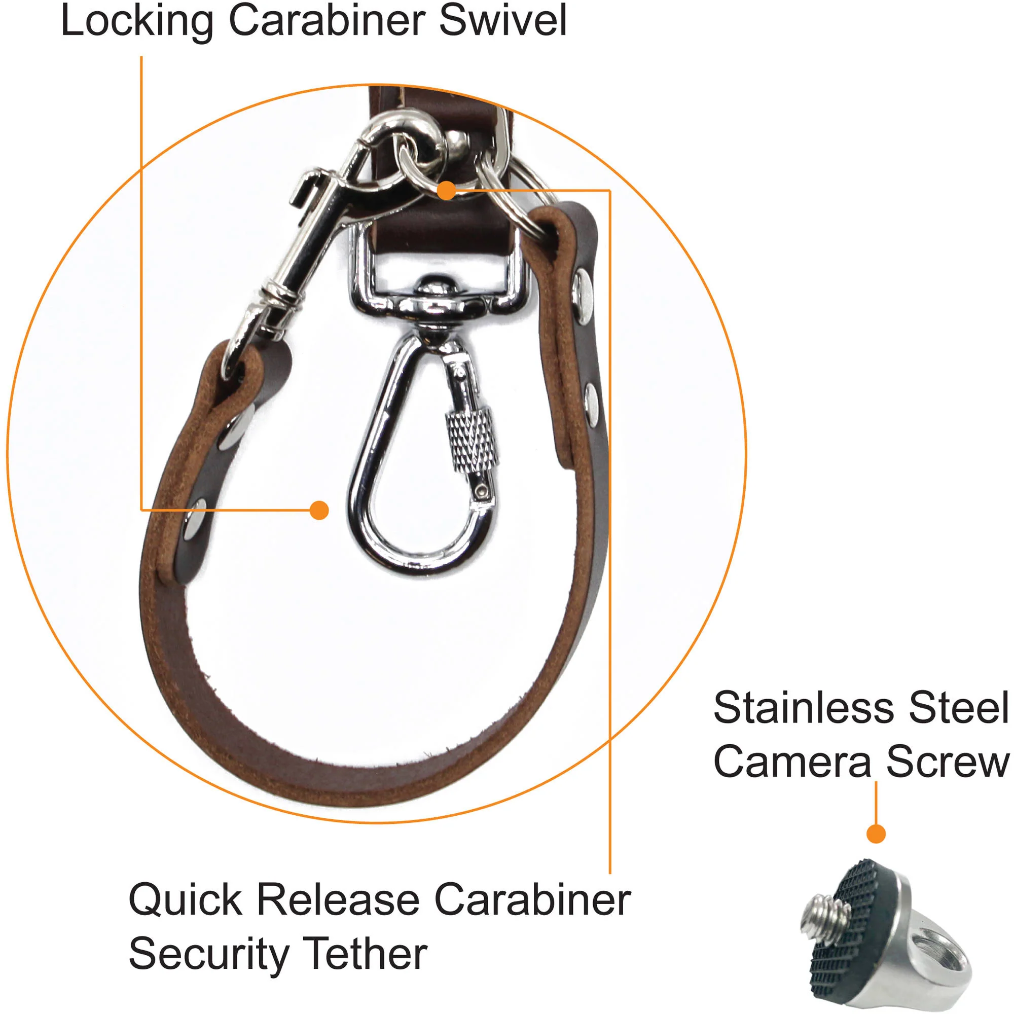 RL Handcrafts Clydesdale Lite Dual Leather Camera Harness (Large, Coffee) - Image 2