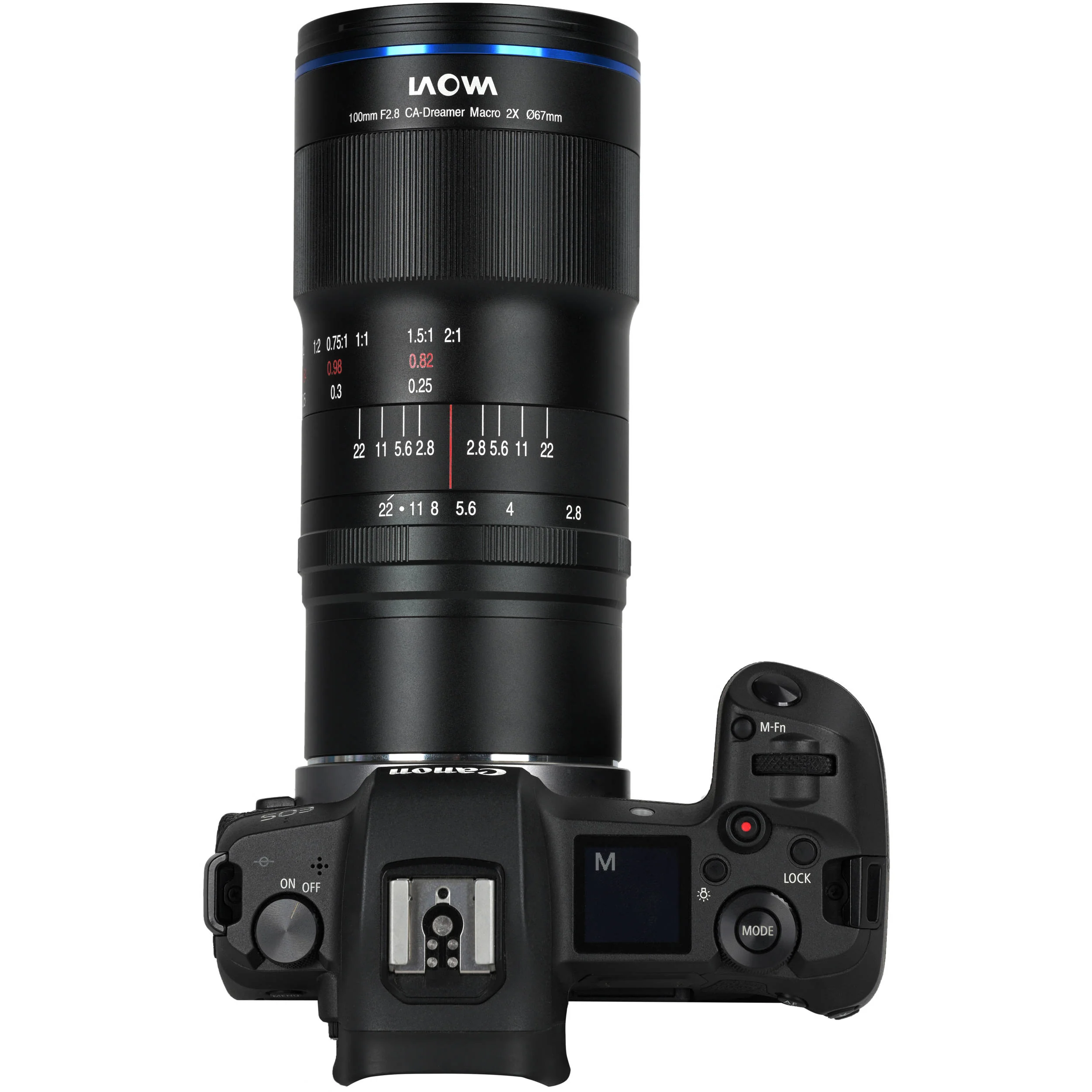 Venus Optics Laowa 100mm f/2.8 2X Ultra Macro APO Lens for Canon RF - Image 9