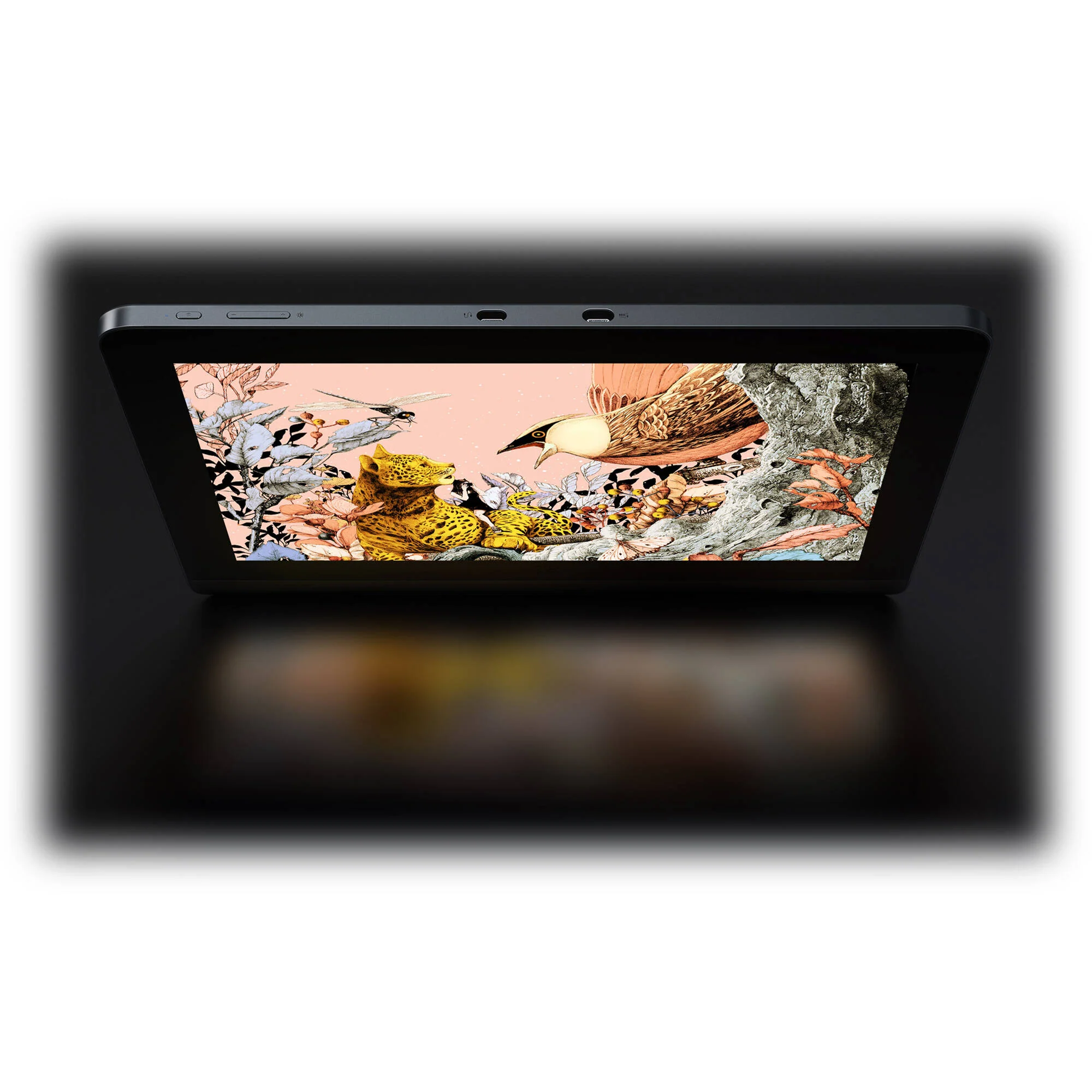 XPPen Artist Pro 16 Pen Display (Gen 2) - Image 5